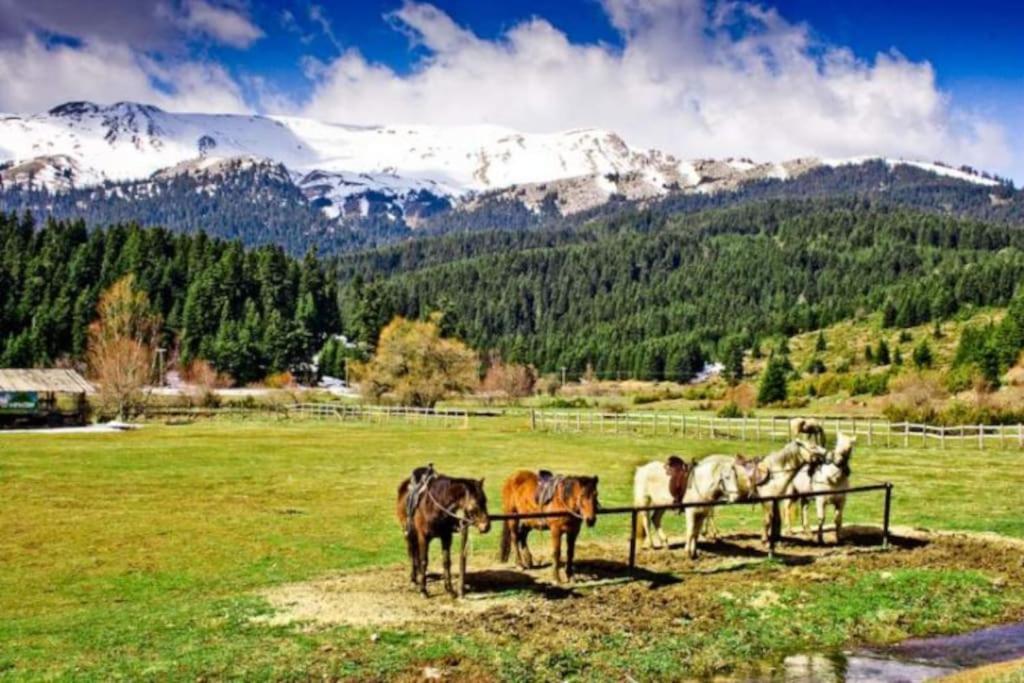 Sweet Home Neraïdochóri Екстериор снимка
